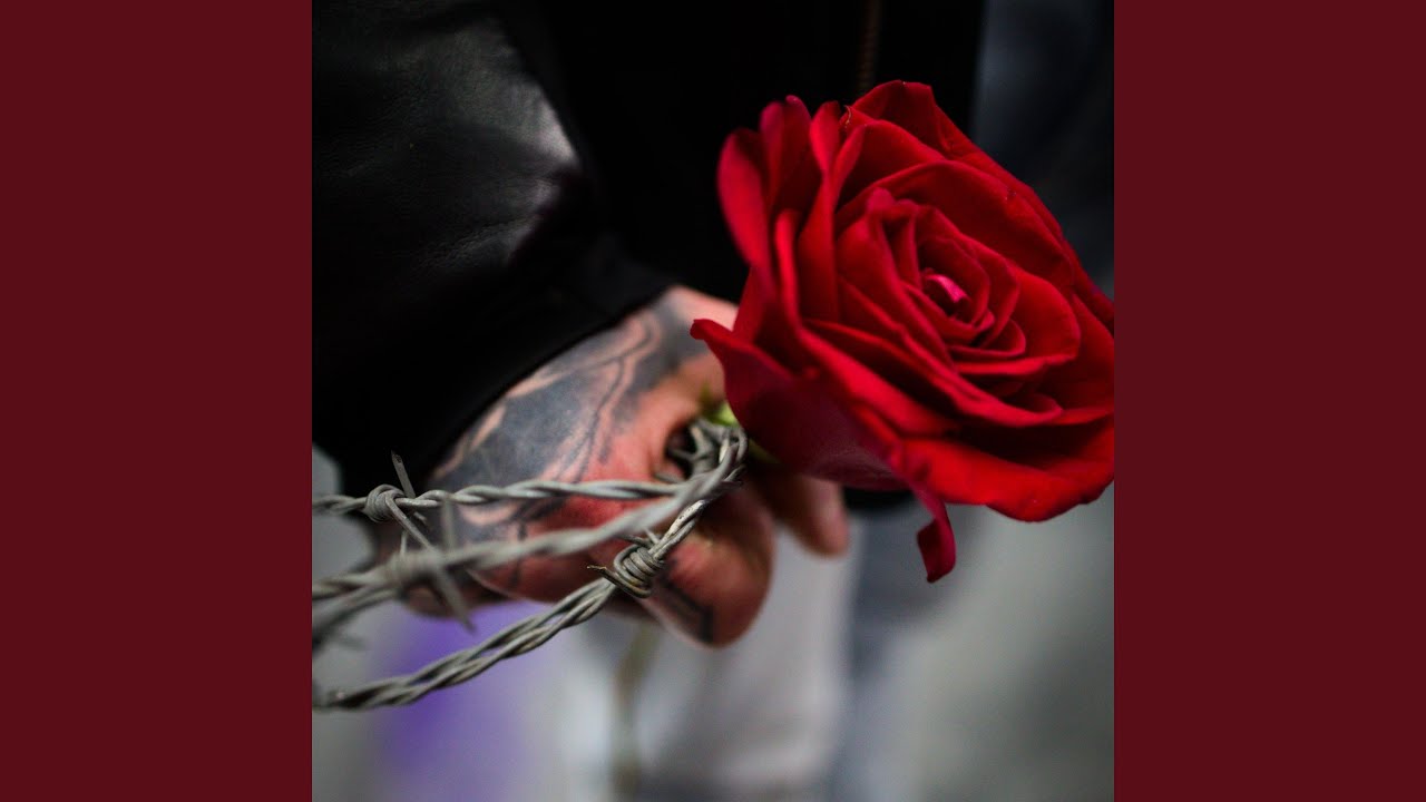 Rose & barbelé (feat. Le K)