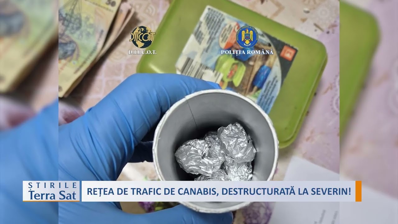 REȚEA DE TRAFIC DE CANABIS, DESTRUCTURATĂ LA SEVERIN!