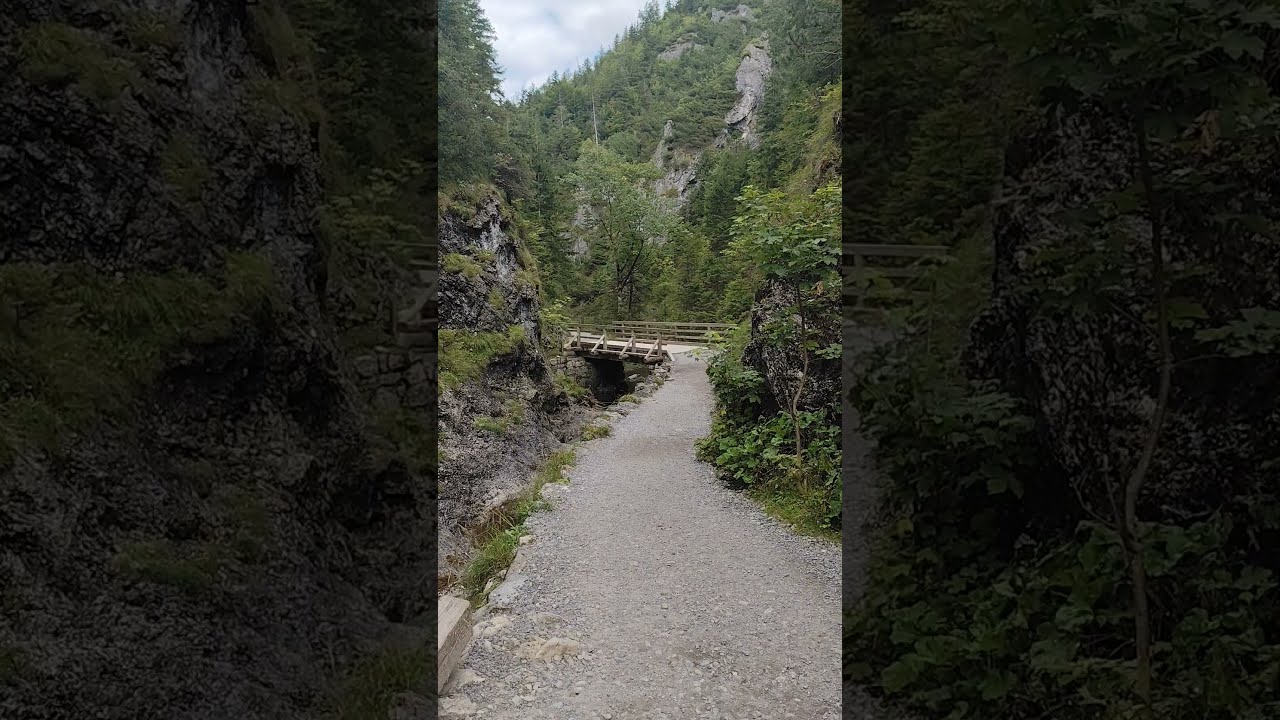 Dolina Białego #dladzieci#naszlaku #tatry #pomysłnawycieczkę #wycieczka #malopolska #łatwyszlak