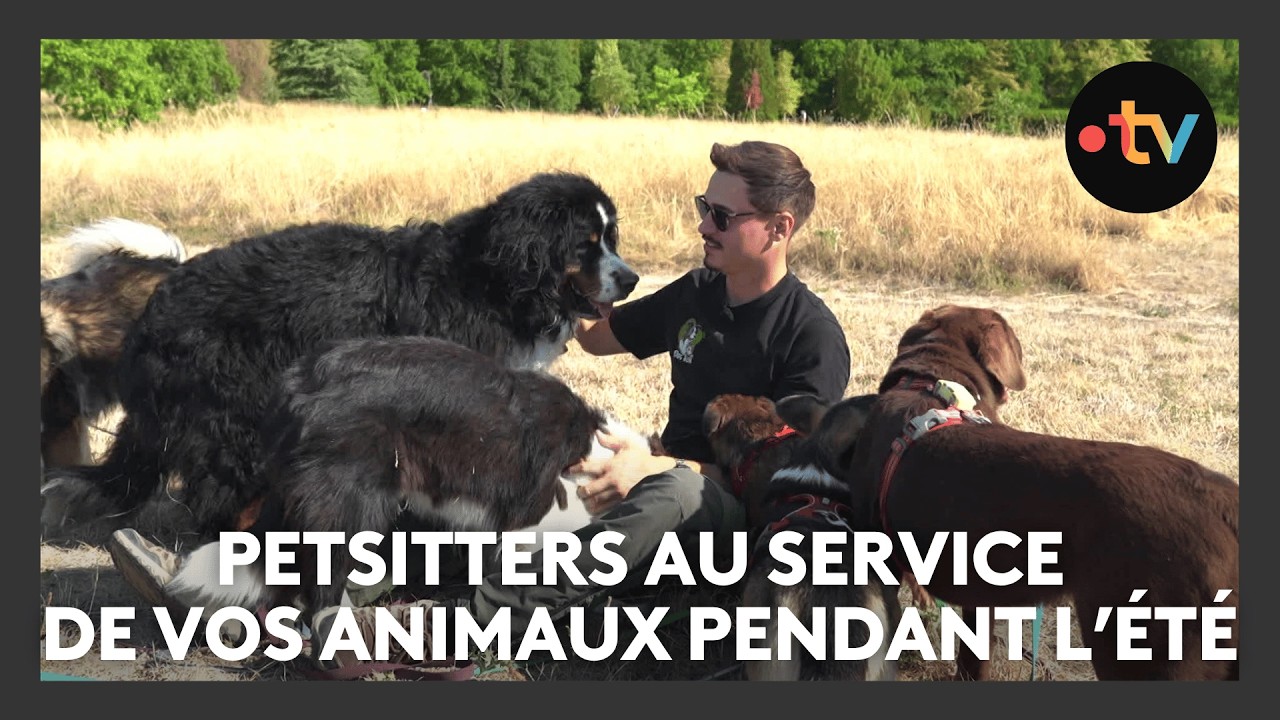 Petsitters, ils veillent sur vos animaux de compagnie pendant les vacances