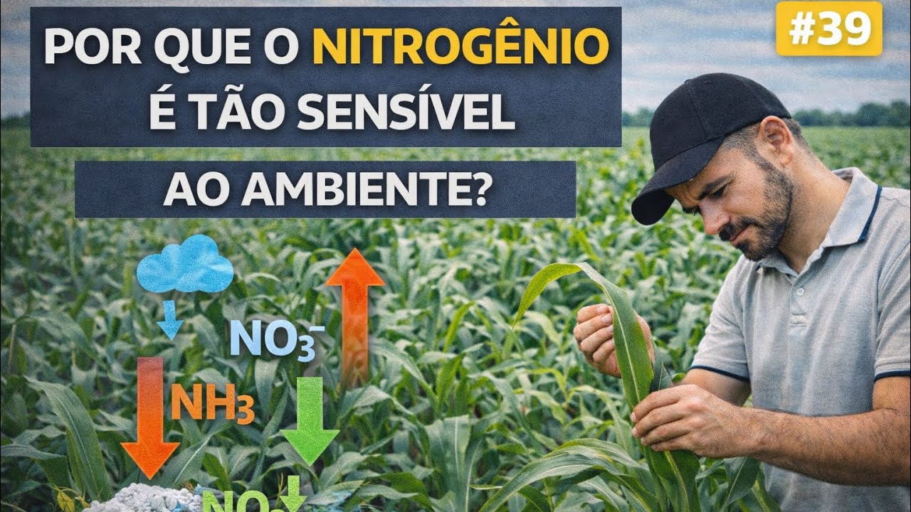 POR QUE APLICAR NITROGÊNIO? #39