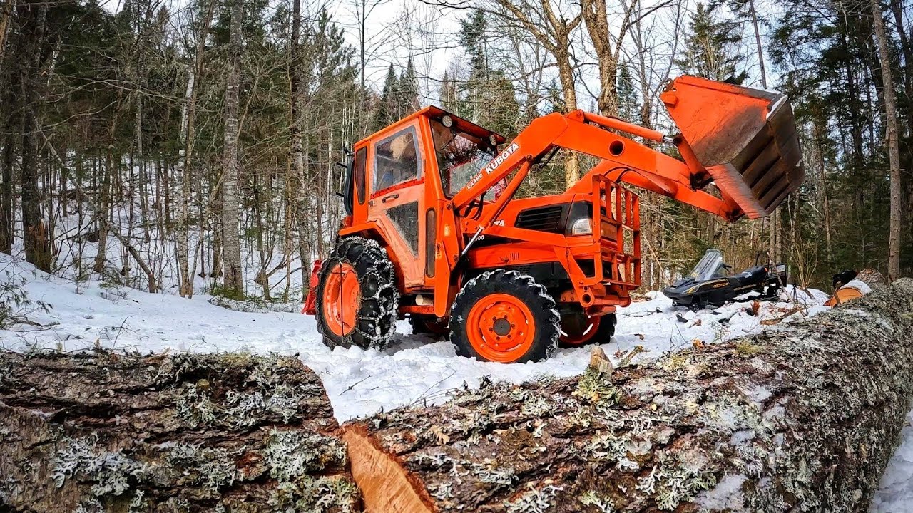 Quiet Winter Logging in the Canadian Woods
