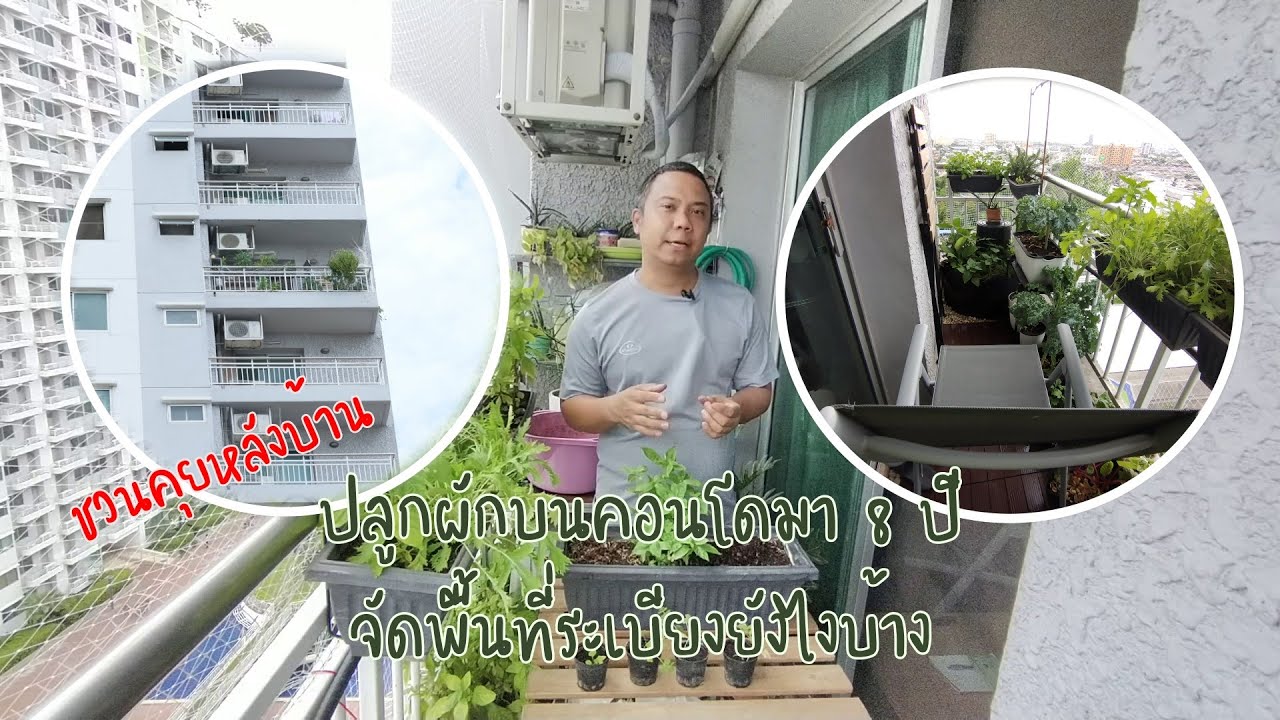 🌱 ปลูกผักบนคอนโดมา 8 ปี จัดพื้นที่ระเบียงยังไง (ลุงเต่าอยากอวดมุมนั่งชิลแหละ) | ชวนคุยหลังบ้าน