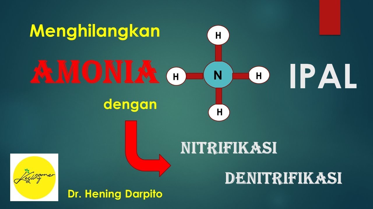 NITRIFIKASI n DENITRIFIKASI Mengolah AMONIA