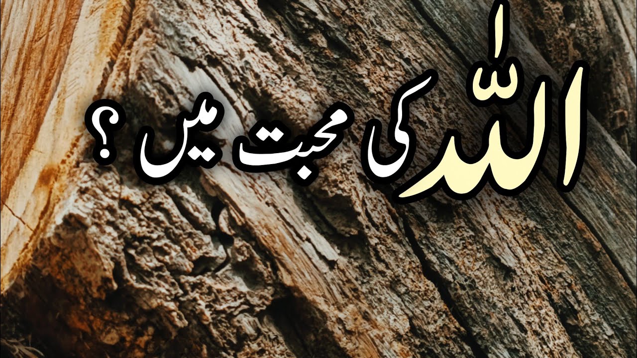 Allah ki Mohabbut main || Duniya Faani ha || Hamesha Ki Akharat || Islamic Video ||
