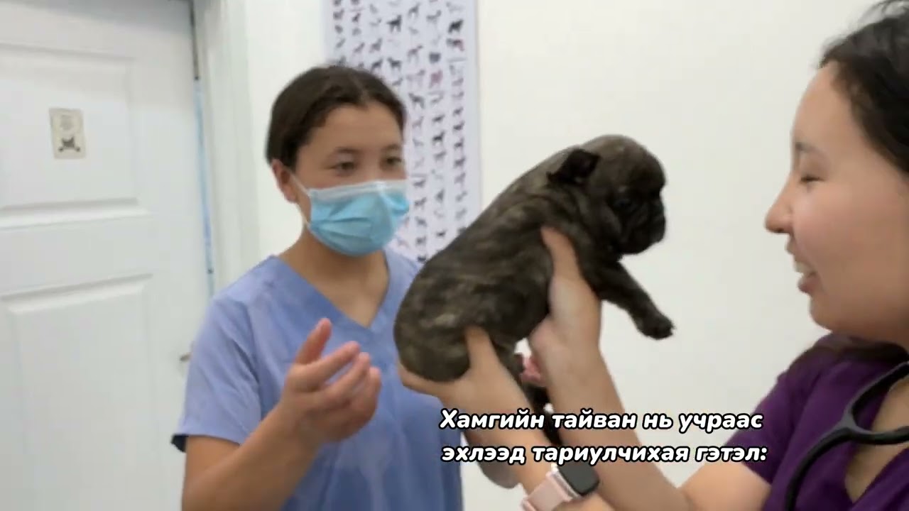 ЭРҮҮЛ МЭНДИЙН ҮЗЛЭГ 🥰