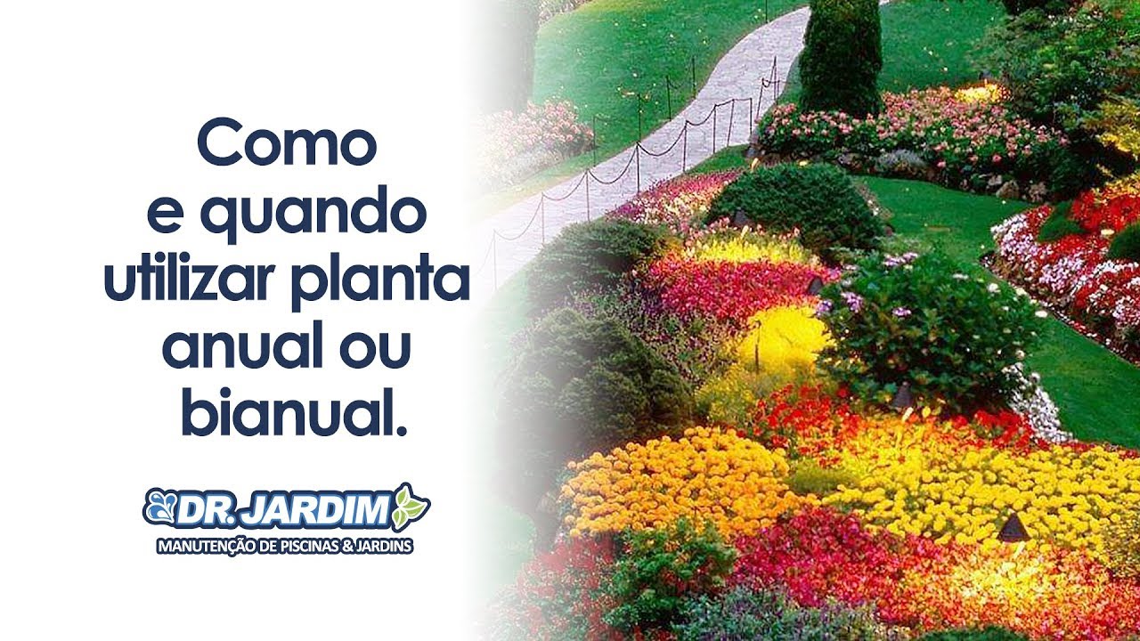 Como e quando utilizar planta anual ou bianual.