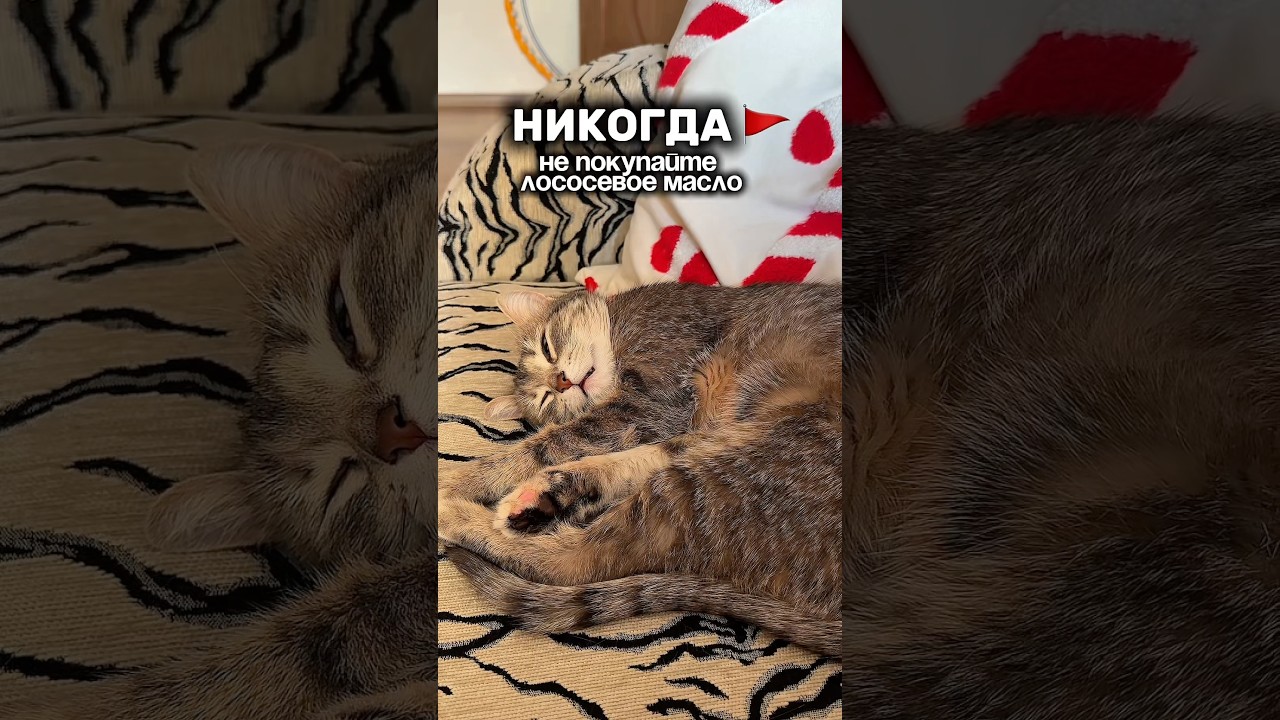 совет для тех, кто устал от линьки😩 не тратьте деньги на всё подряд.