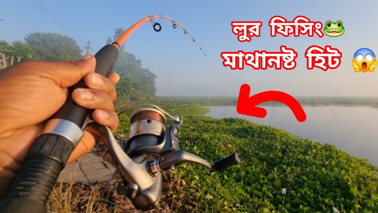 Best Frog Lure Fishing Video | Lure Fishing | Fish Hunting Video | Fishing | Fishing BD Fast Tv