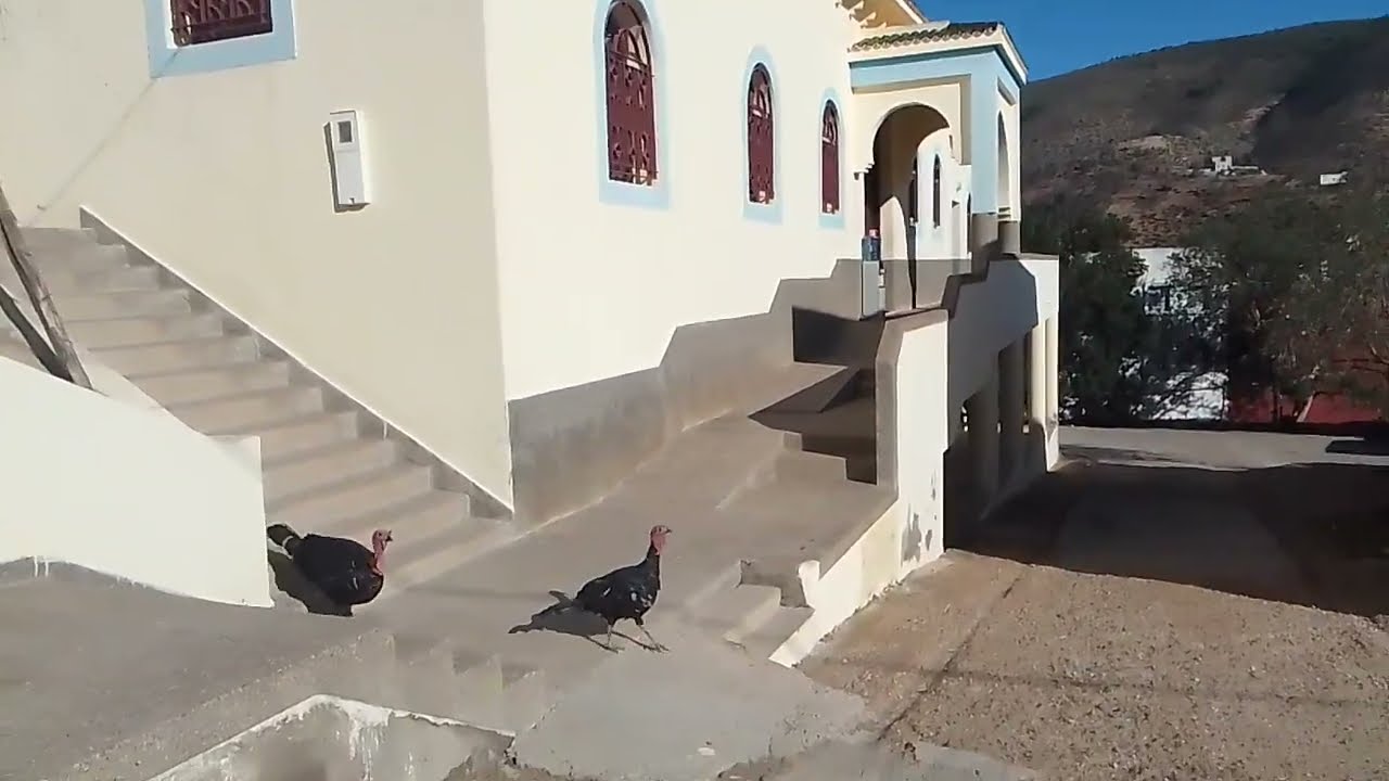 دوار تافنسة الجمال والهواء النقي #الريف #اكسبلور #الحسيمة #المغرب