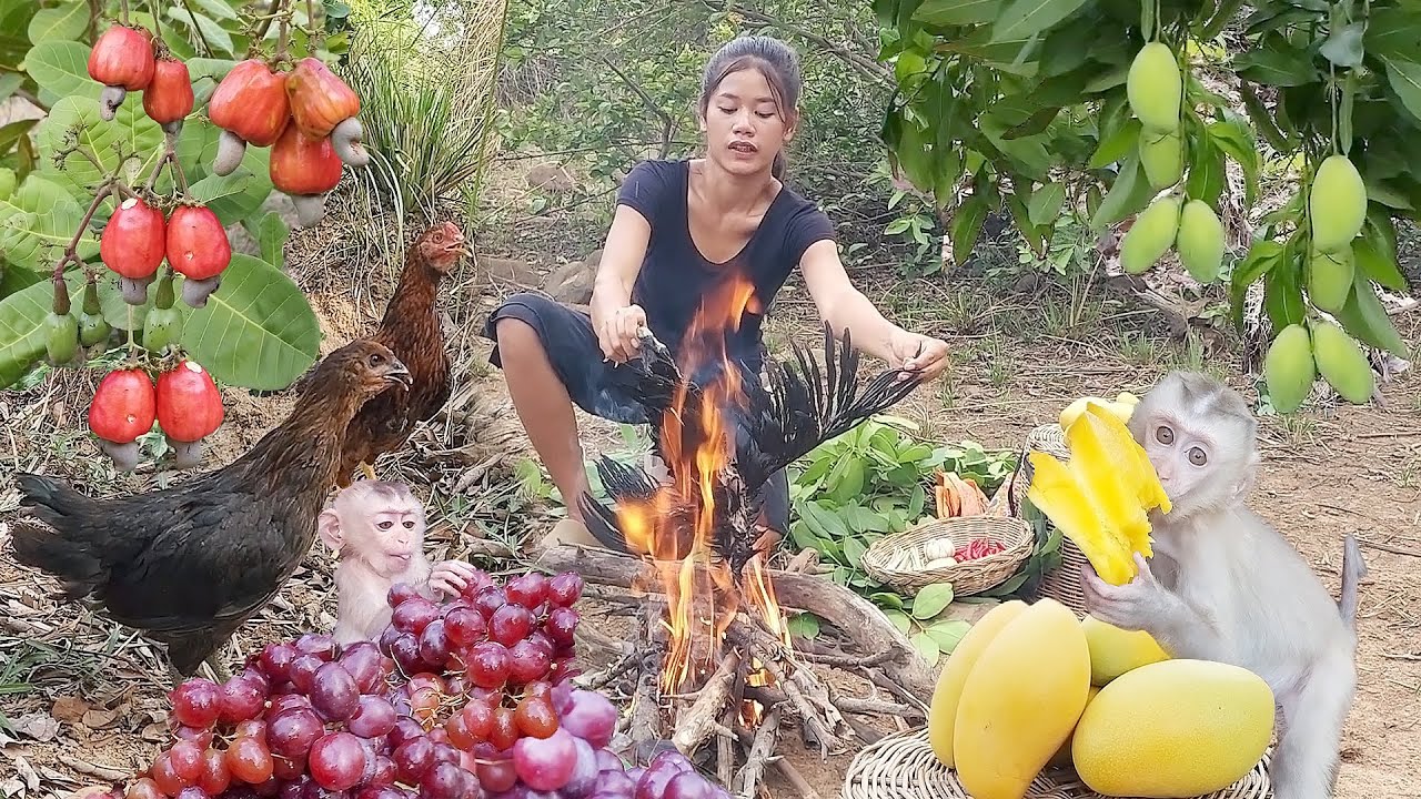 Survival in forest, Catch and cook chicken, Chicken wing cooking for food, Green mango for snack