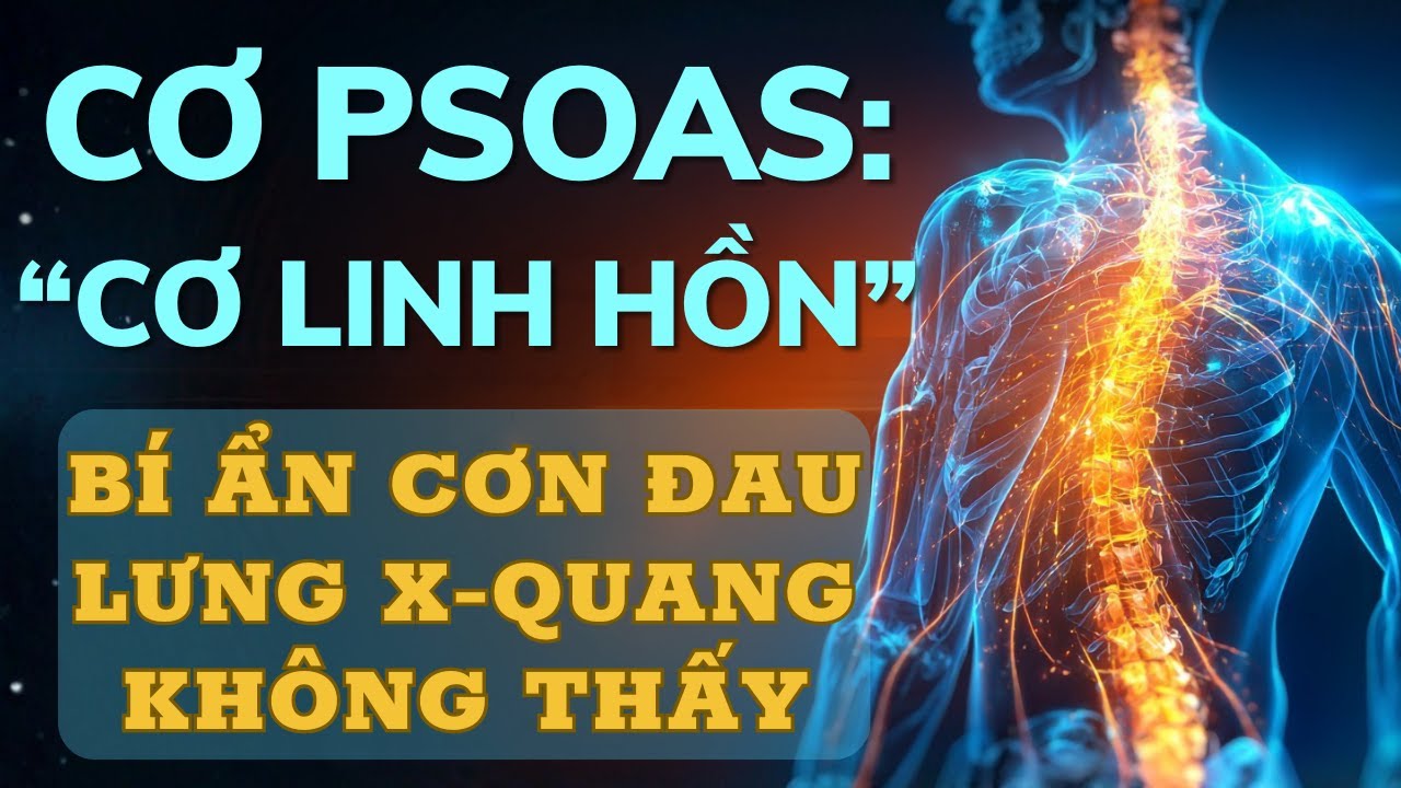 Cơ Psoas: 