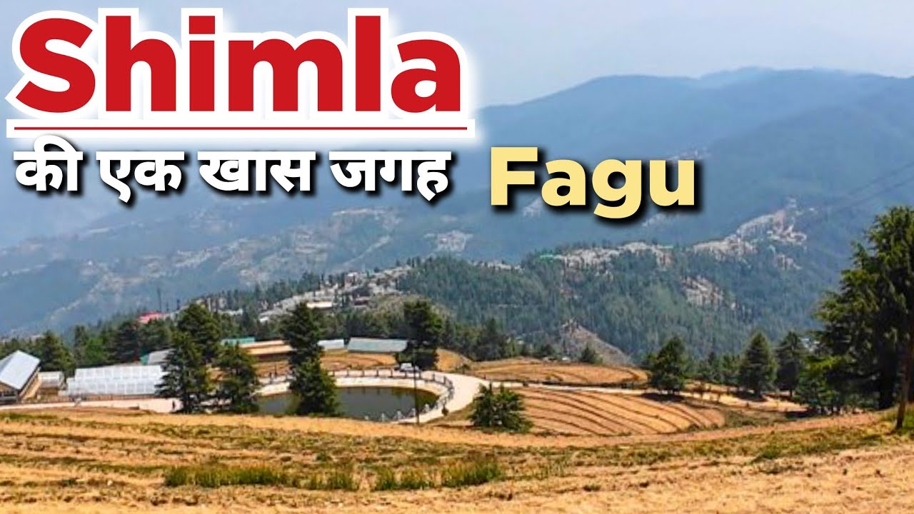 Shimla का सुंदर जगह Fagu | Shimla Fagu | Fagu Shimla | Shimla Tourist Places #shimla