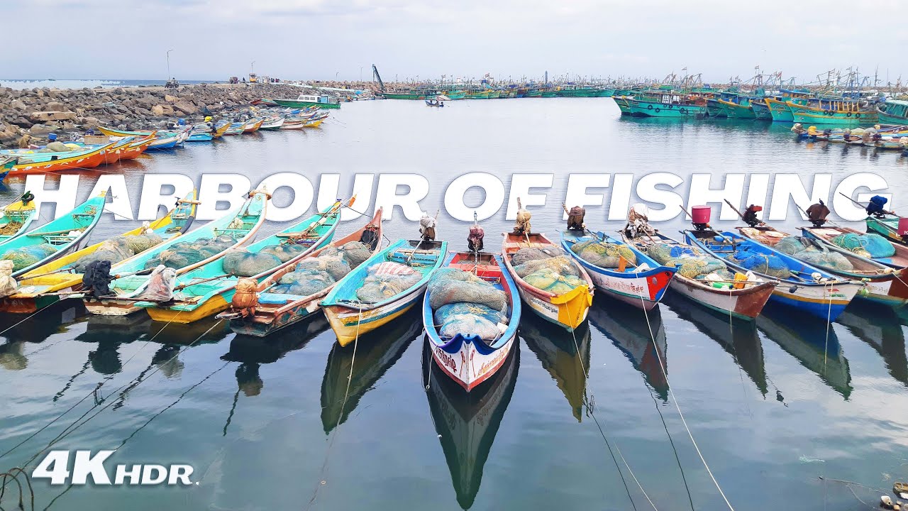 Fishing Harbour | Kasimedu Harbour | Fish Market | Driving Tour | 4K HDR | Shadow Walker