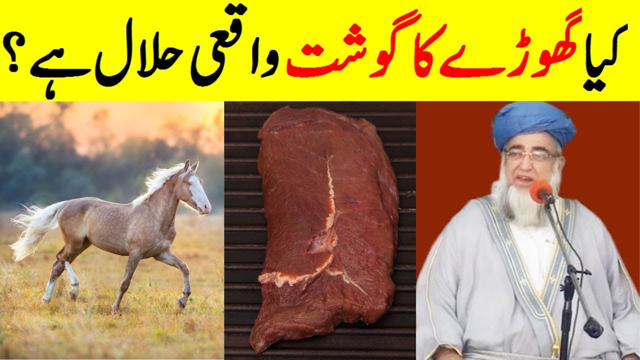 Is horse meat really halal? || Horse Meat in Islam || Mufti Zarwali Khan Official