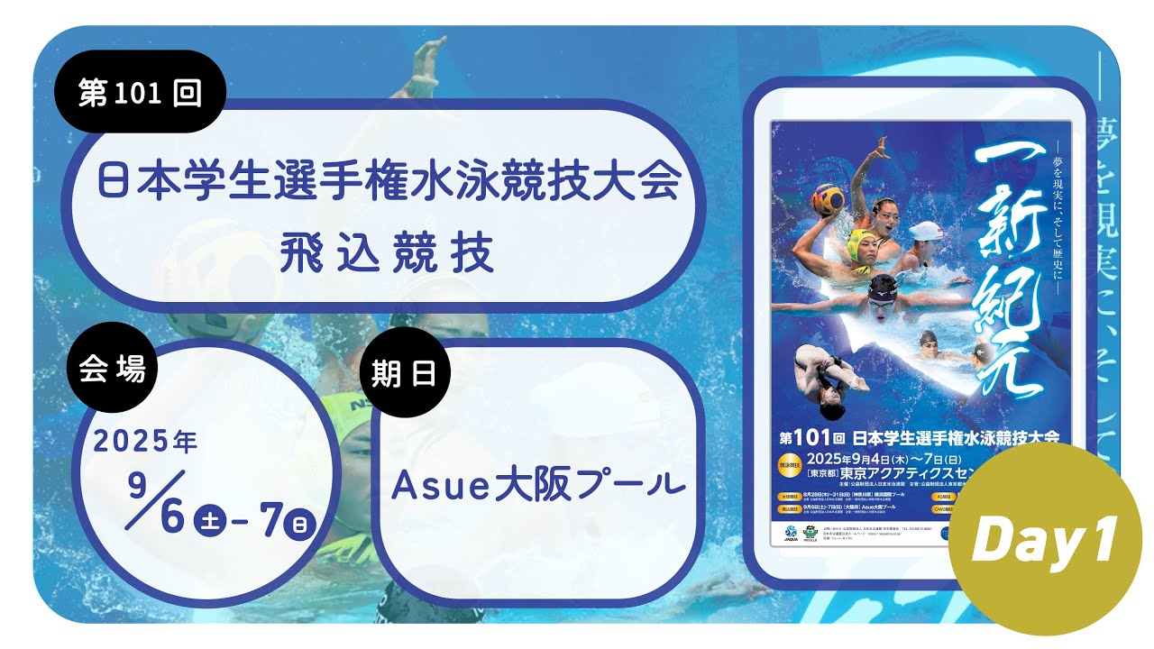 ２　女子　高飛込　予選