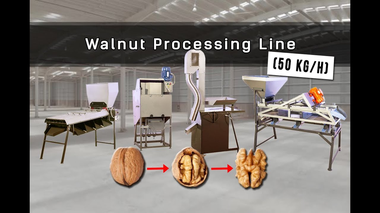 Professional Walnut shelling line