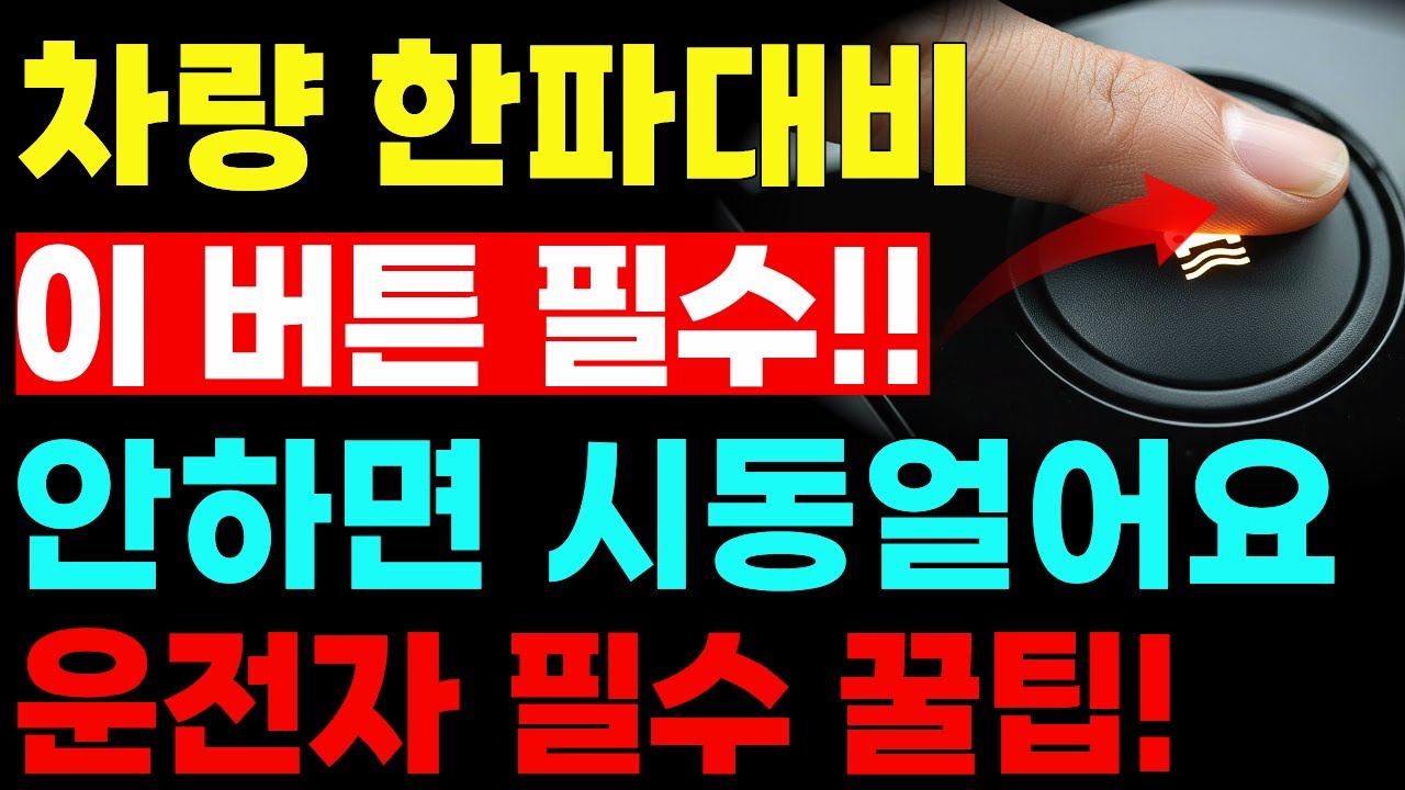 올겨울 이 버튼 모르면 진짜 개고생합니다! 겨울철 차량 관리 꿀팁 7가지 총정리