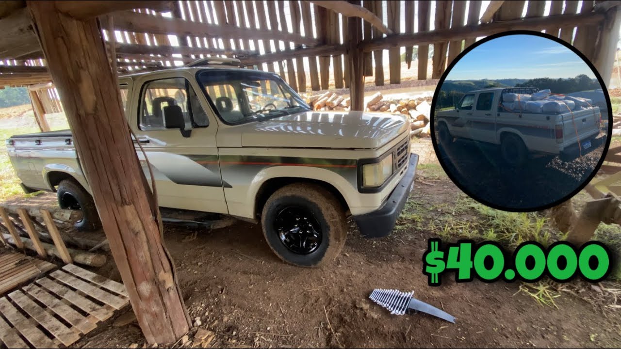 Comprei uma c20 custom s4t 1989 no diretão para fazer frete de silagem 