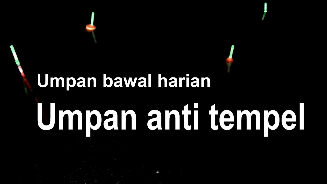Umpan Mancing Bawal Harian Anti Tempel