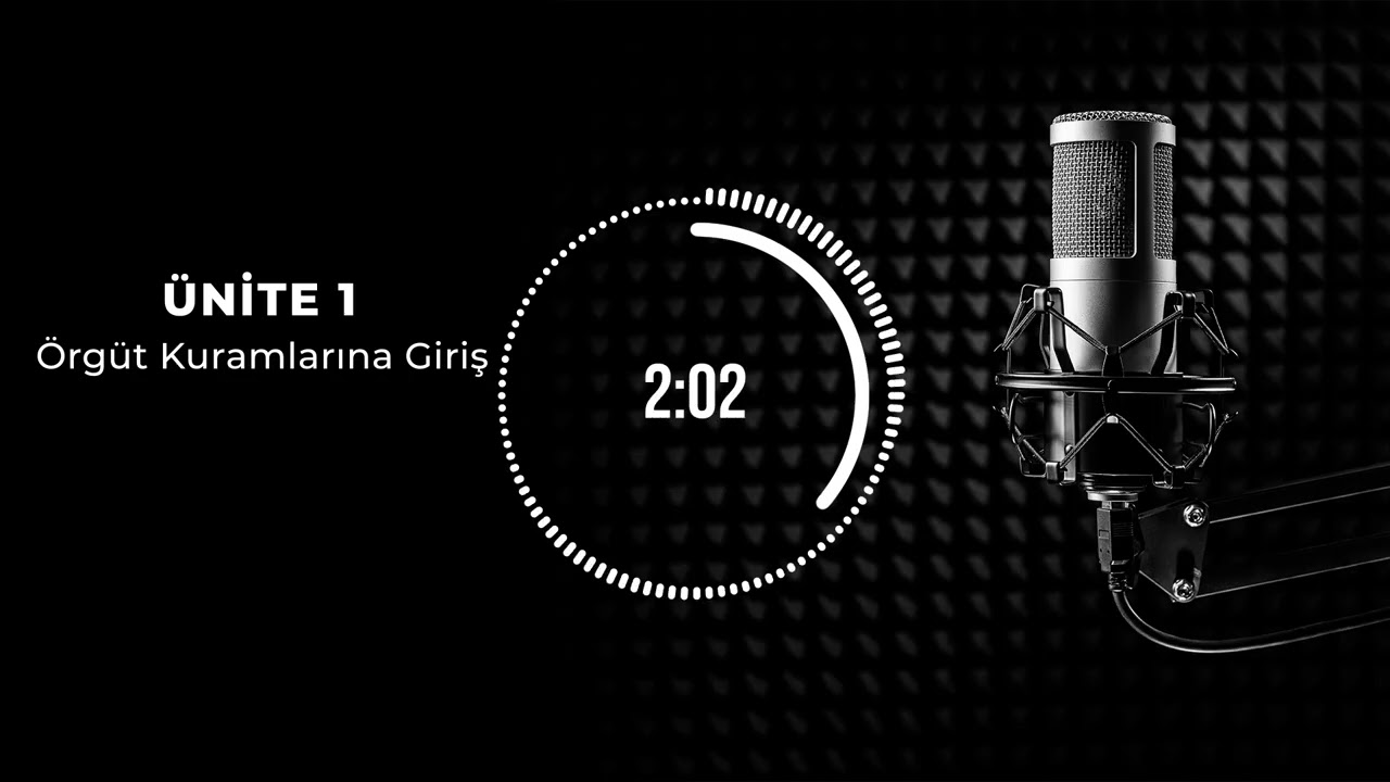 Bölüm 1: Örgüt Kuramına Giriş