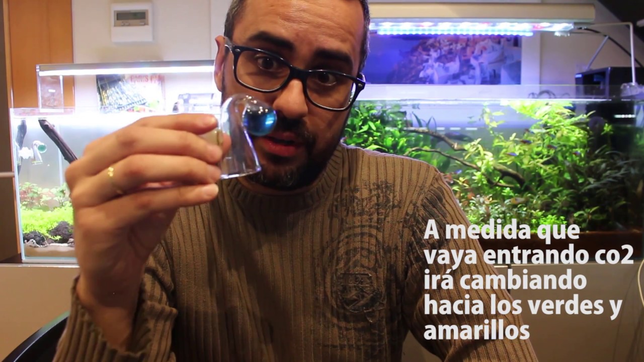 Guía básica acuario plantado: El Drop Checker