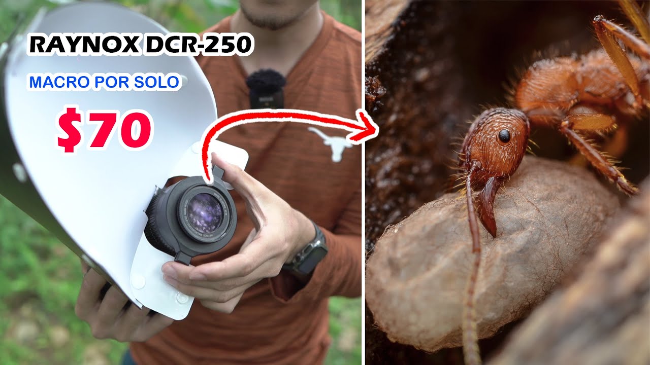 Todo FOTÓGRAFO MACRO necesita este lente 📷​ Raynox Dcr-250