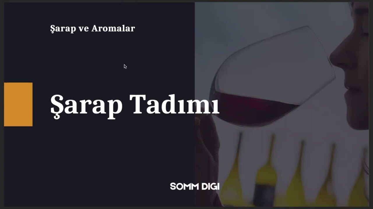 Şarap Tadımı: SommDigi ile Temel Adımlar