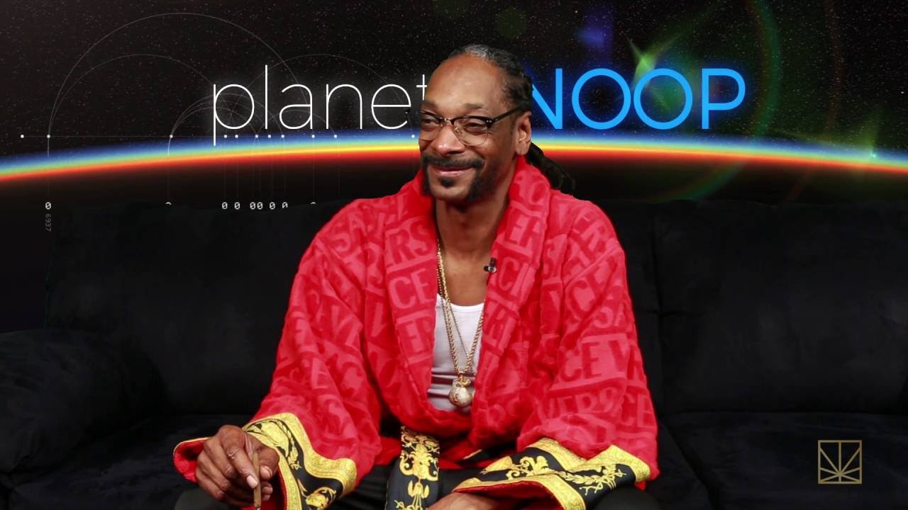 Snake Charmer | PLANET SNOOP