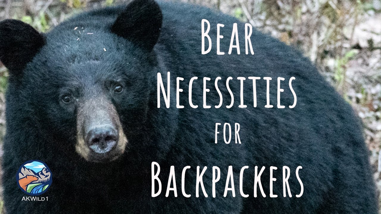 How to Avoid Unbearable Bear Encounters While Backpacking