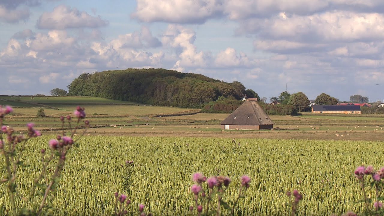De Hoge Berg op Texel - Bezoek tijdens je weekend Texel