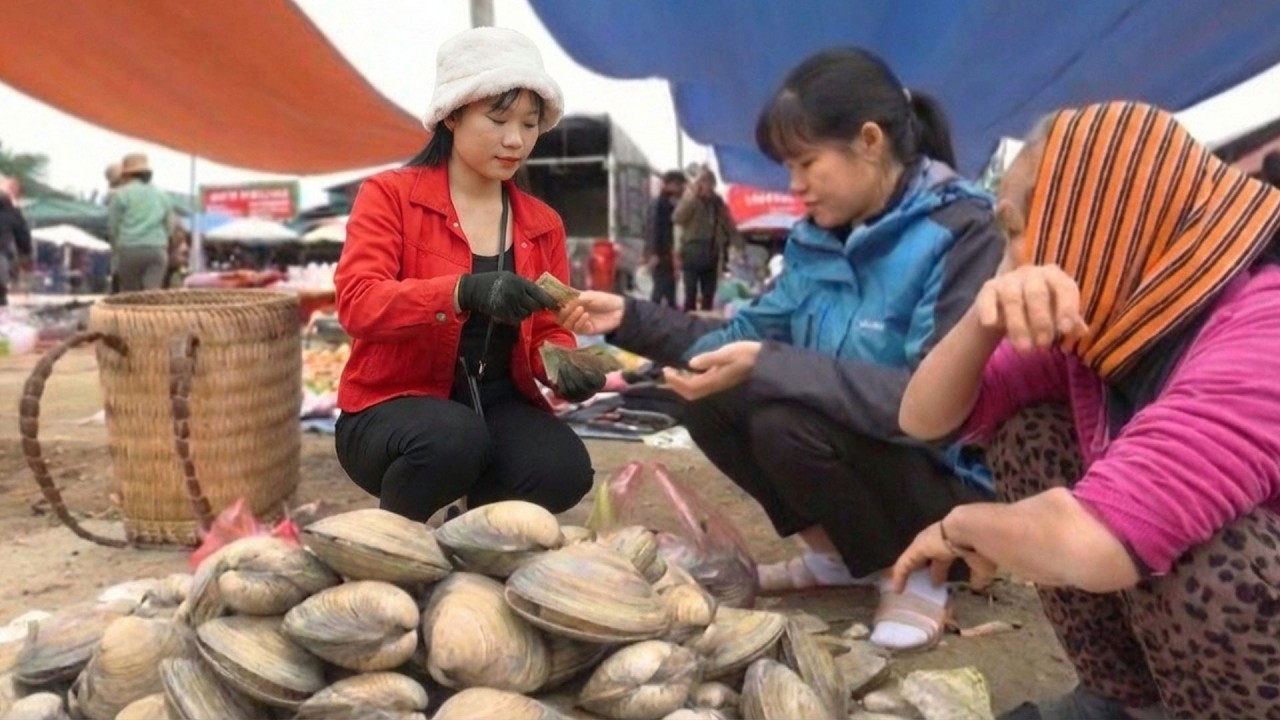 TIMELAPSE -- Harvesting 9999 + Giant Clams, Goes To Market Sell | LIFE ON THE FARM