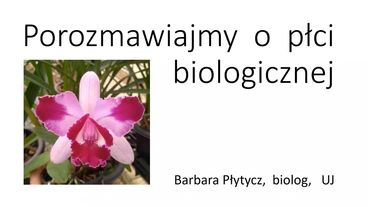 Wydział IV Przyrodniczy PAU - 10 maja 2023