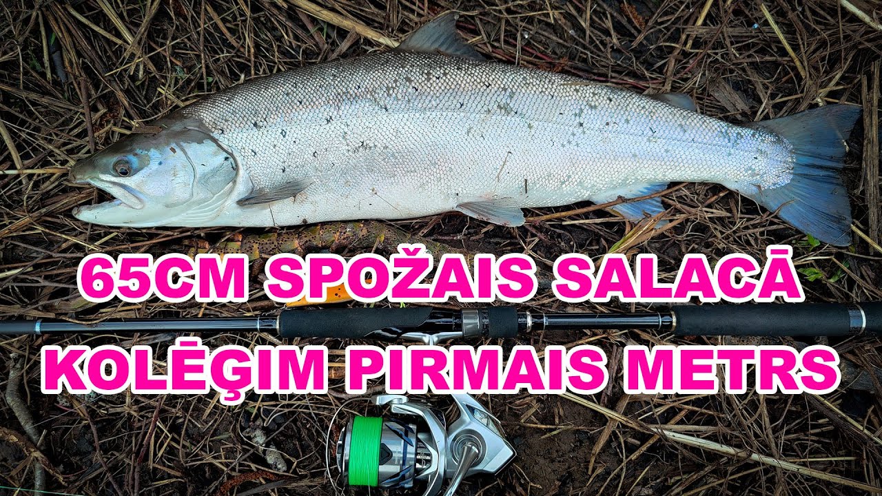 65cm spožais man & pirmais metrs kolēģim (Salaca, 29.03.2024)