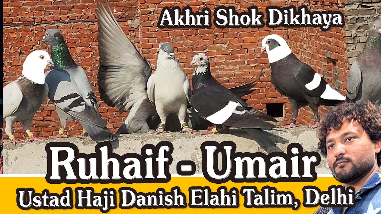 Ruhaif - Umair Ka Shok, Ustad Haji Danish Elahi Talim