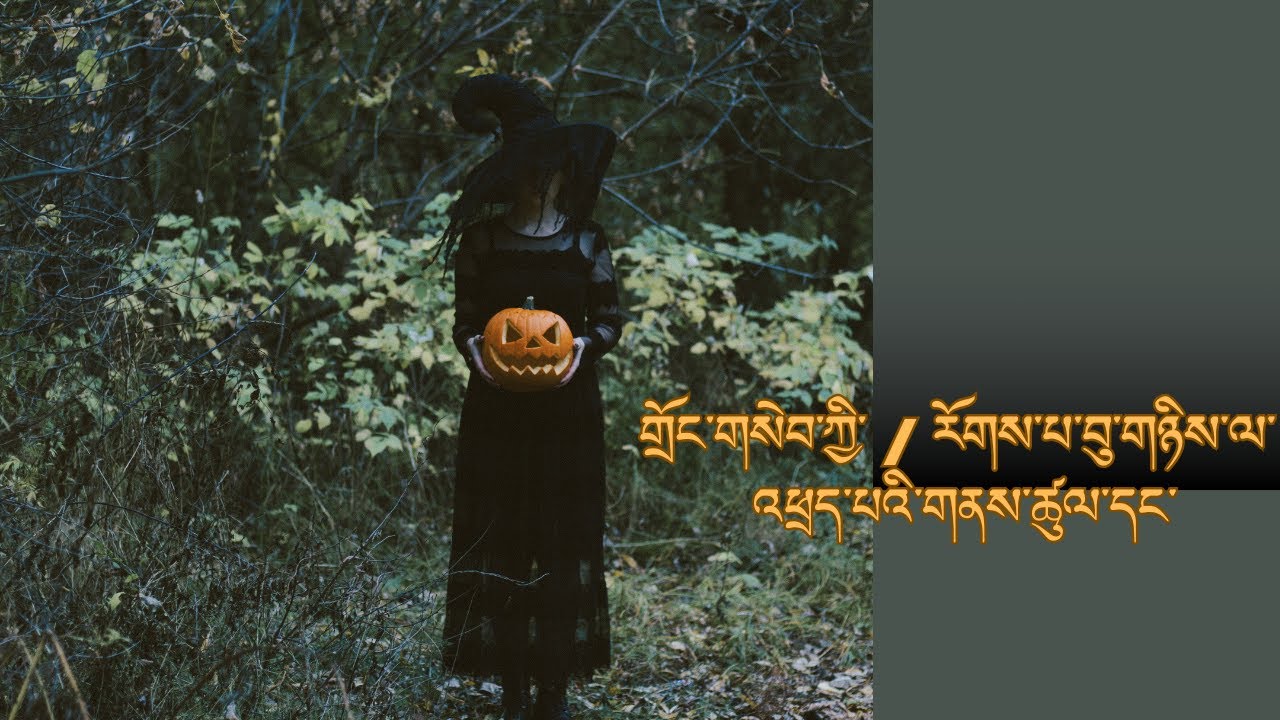 གྲོང་གསེབ་ཀྱི་   /   རོགས་པ་  བུ་གཉིས་ལ་   /  འཕྲད་པའི་  གནས་ཚུལ་དང་