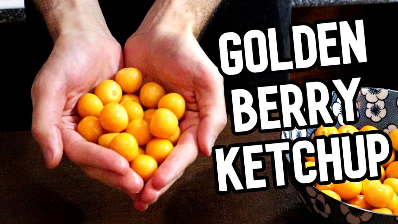 GOLDEN BERRY KETCHUP : Using This Tomato Relative to Make a New Condiment!  - Weird Fruit Explorer