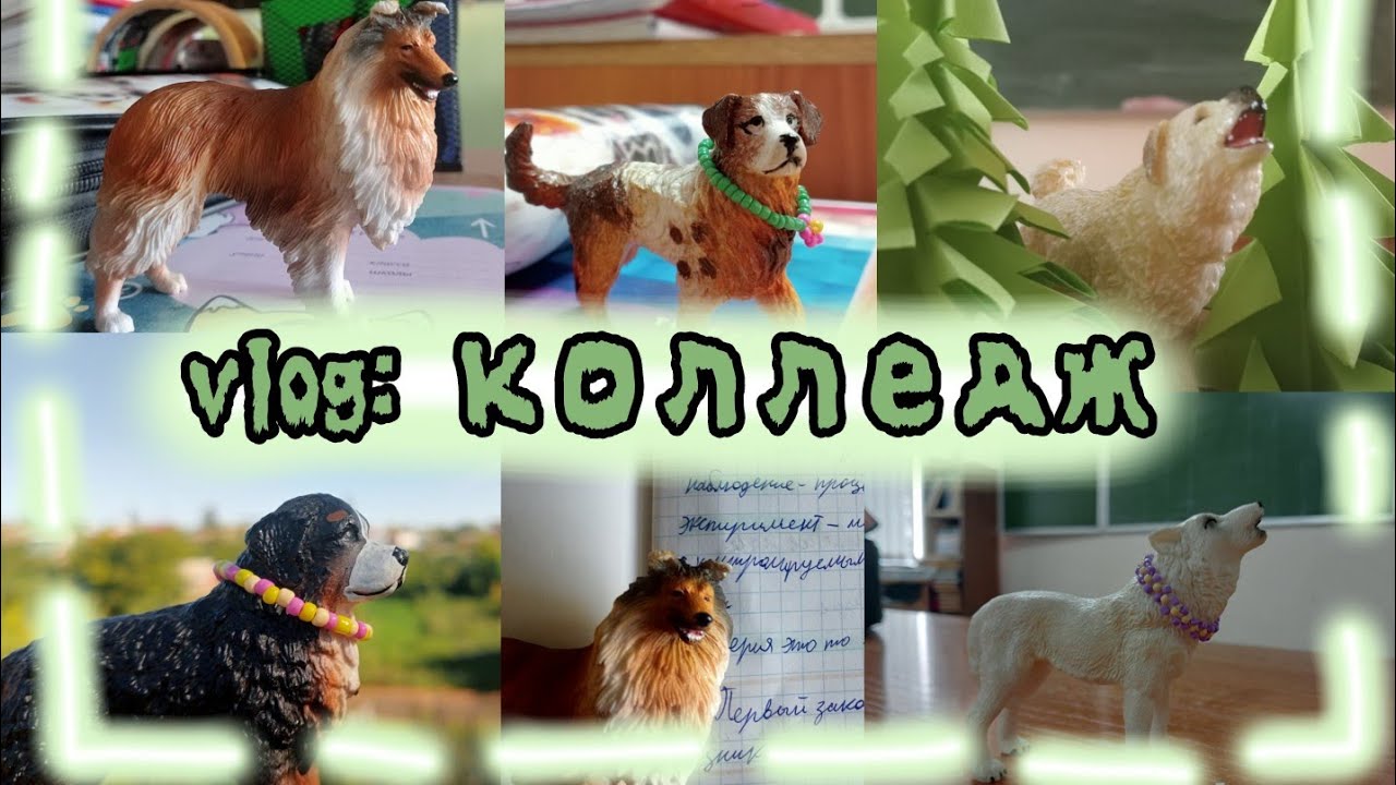 schleich vlog: жизнь шляйх блогера студента первого курса💚