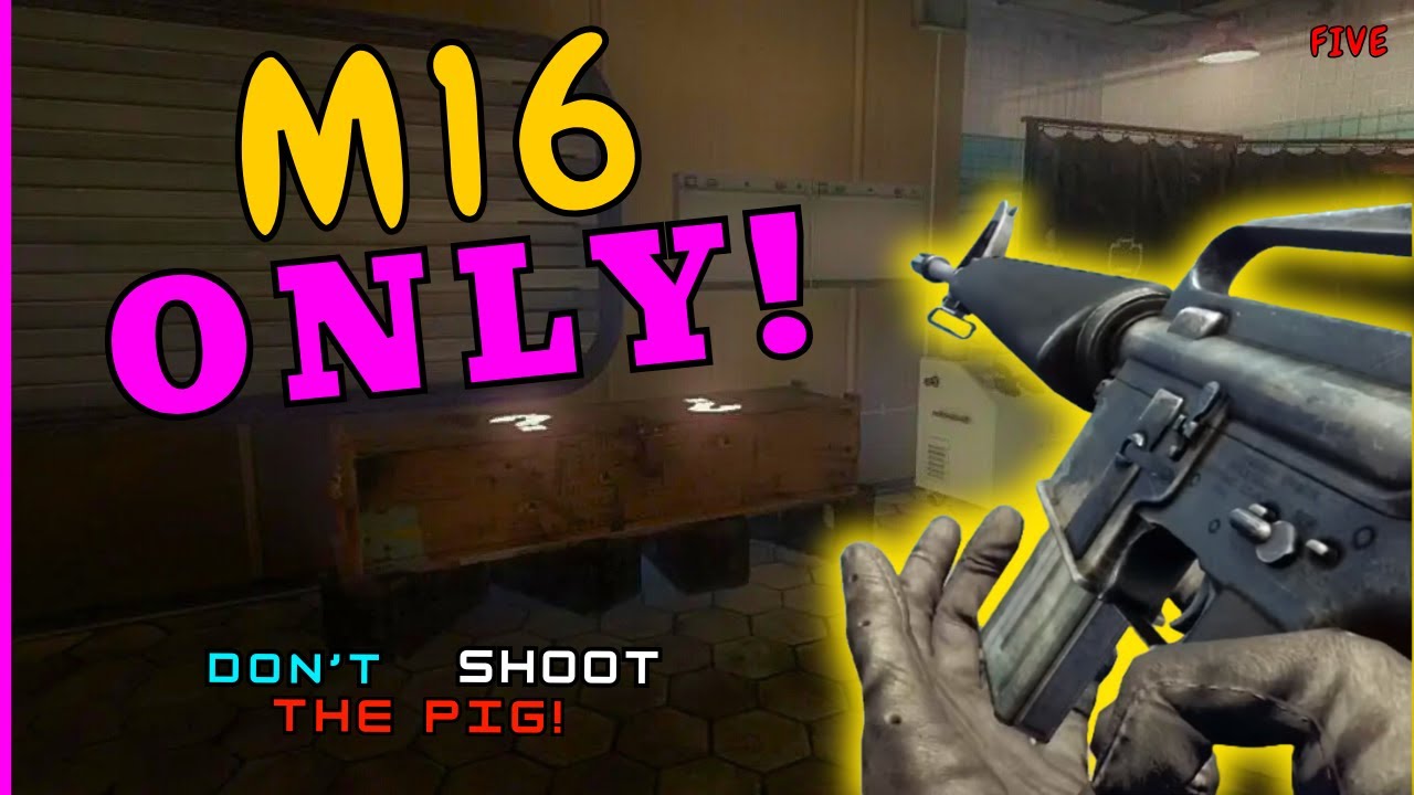 M16 ONLY on FIVE... | Black Ops Zombies Challenge