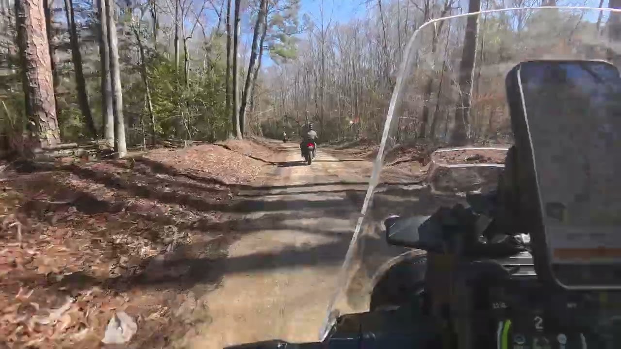 Talladega NF West 2/16/2026 USFS 707