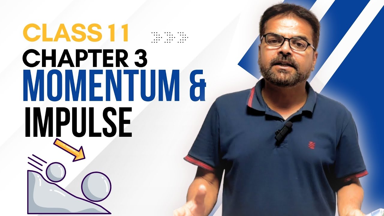 Momentum and Impulse Explained | Class 11 Physics Chapter 3