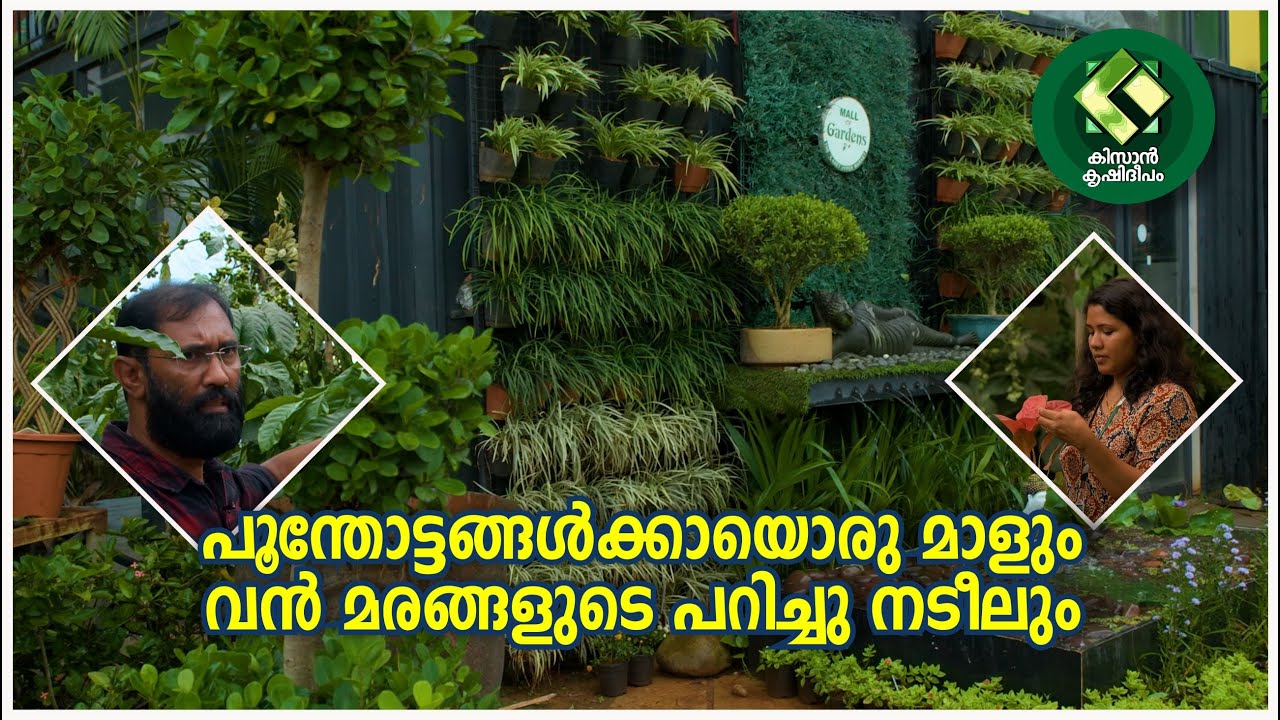 Kissan Krishideepam Episode-1129 A great mall for gardens and transplanting of big trees