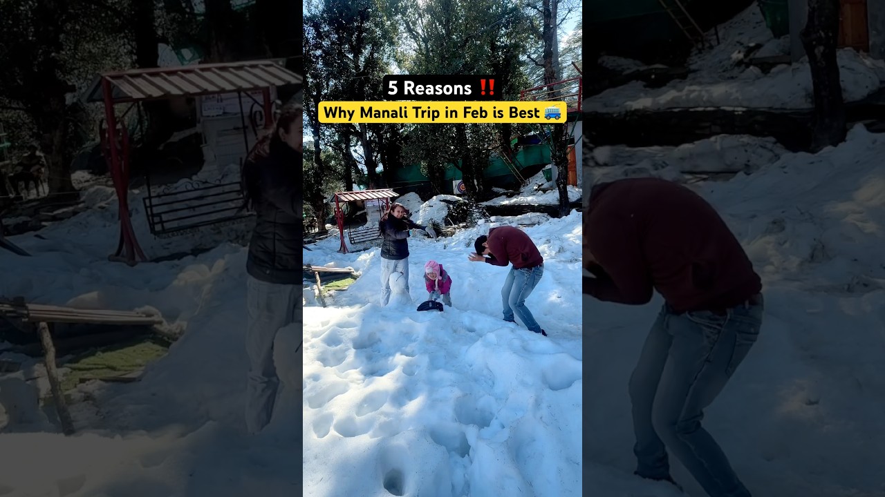 Manali Trip | Manali in February | Manali Current Situation #manalitoday #snow #shorts