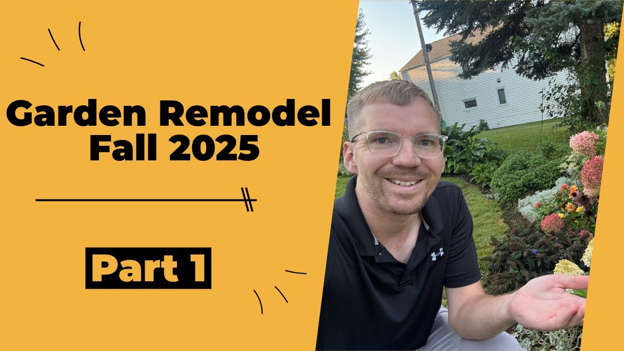Corner Garden Remodel: Part 1