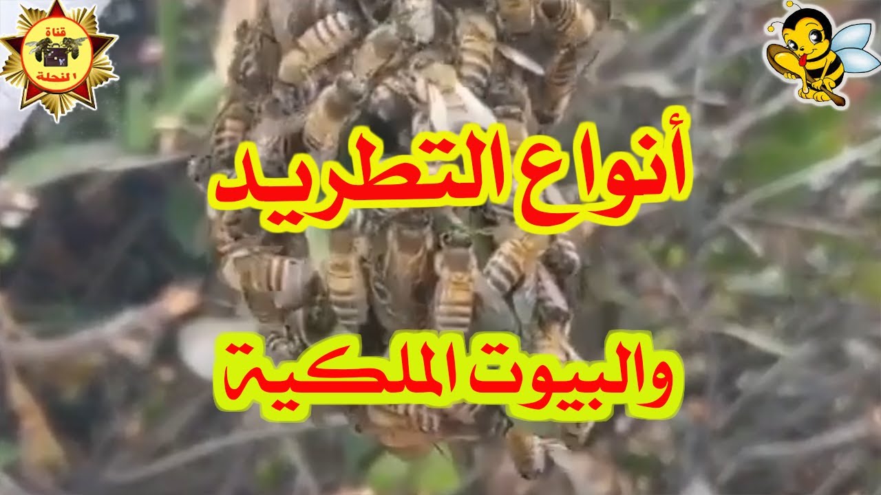 أنواع التطريد والبيوت الملكية