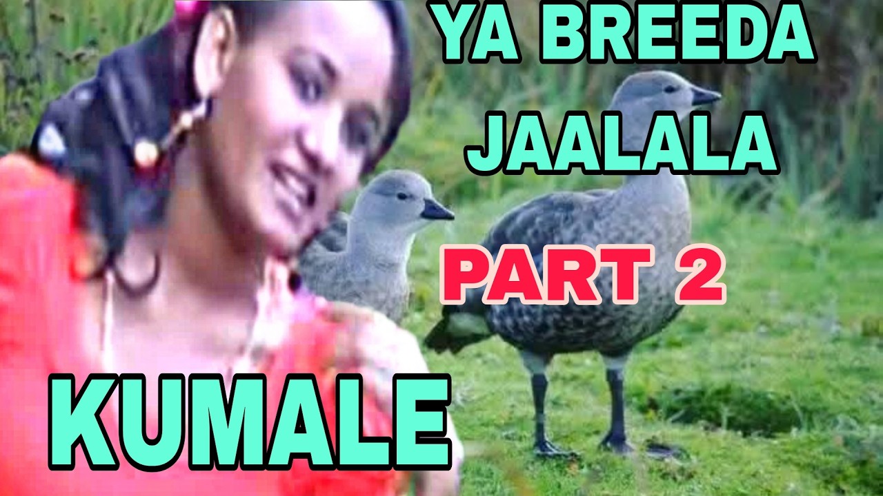 YA BAREEDA JAALALAA || KUMALE BORU V1 Part 2* LOVELY OROMO MUSIC