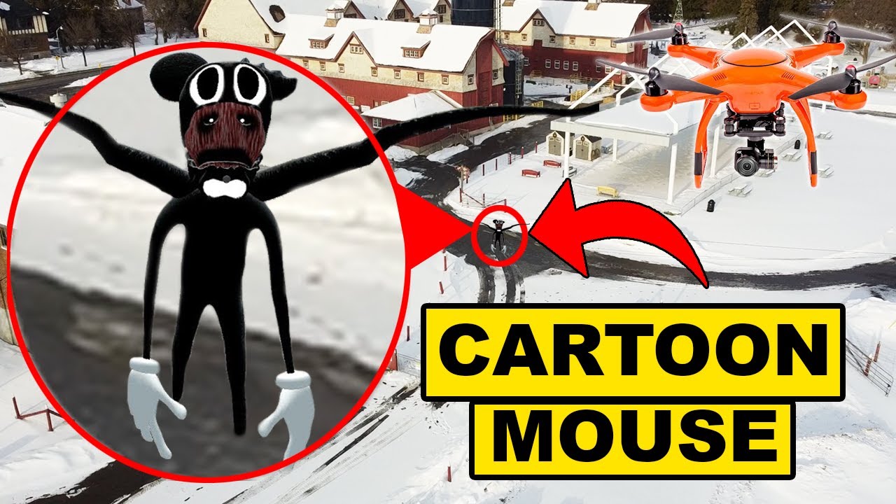 DRONE CATCHES CARTOON MOUSE & CARTOON CAT AT THE HAUNTED EXPERIMENTAL FARM! | CARTOON MOUSE SIGHTING