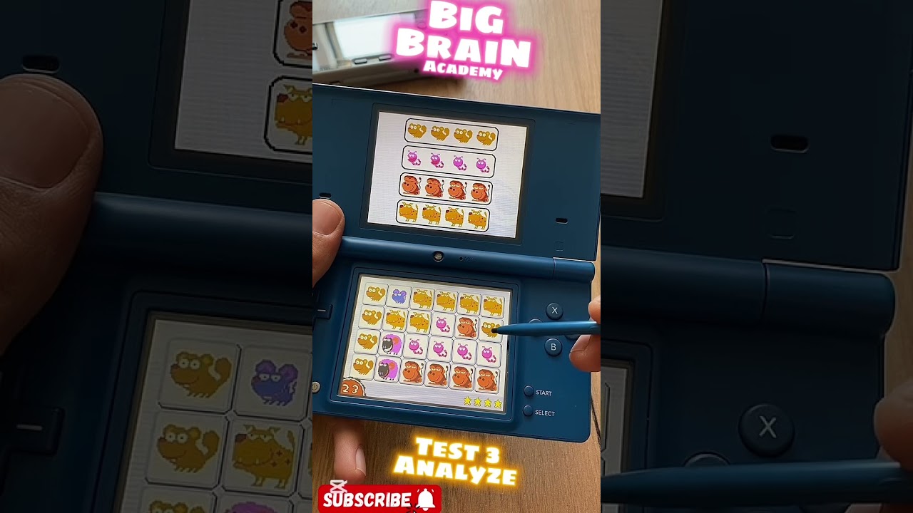 BiG BraiN Academy: Gameplay on Nintendo DSI. Test 3 Analyze. #retrogaming