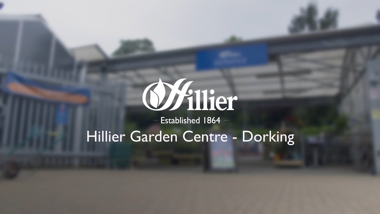 Hillier Garden Centre Dorking Virtual Walk Through