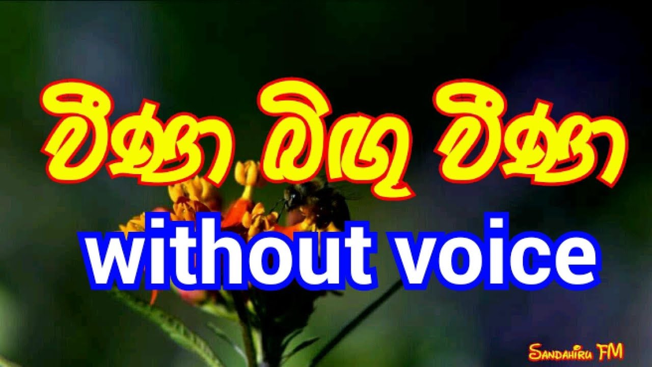 Veena bingu veena Karaoke  (without voice) වීණා බිඟු වීණා